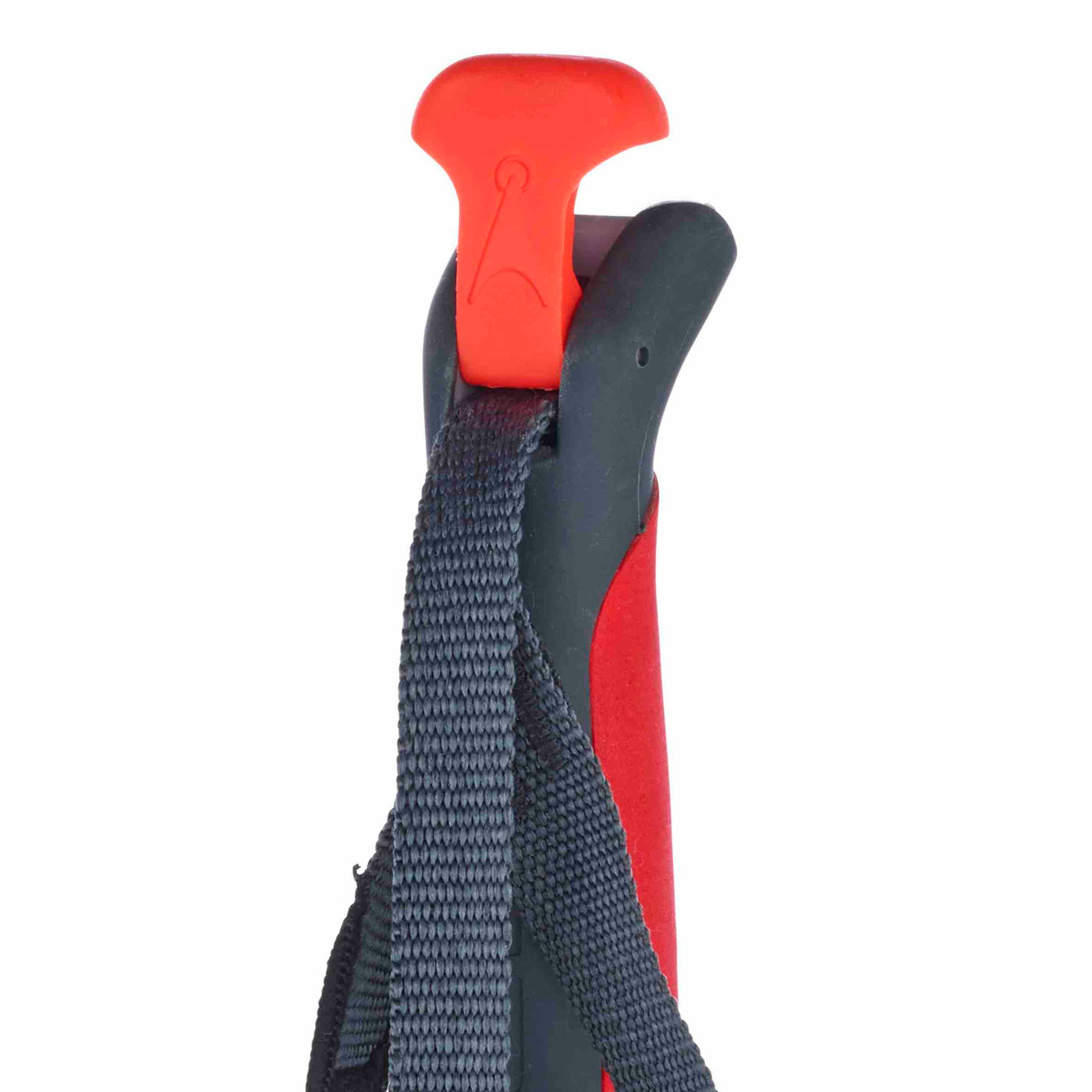 Asnes Amundsen Carbon/Kevlar Ski Poles