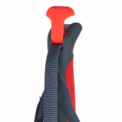 Asnes Amundsen Carbon/Kevlar Ski Poles