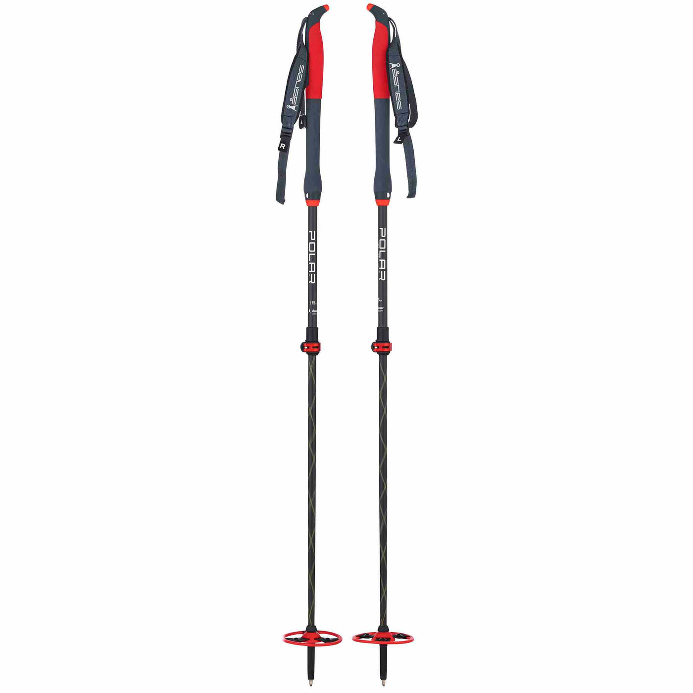 Asnes Polar 2-Section Carbon/Kevlar Ski Poles