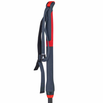 Asnes Polar 2-Section Carbon/Kevlar Ski Poles