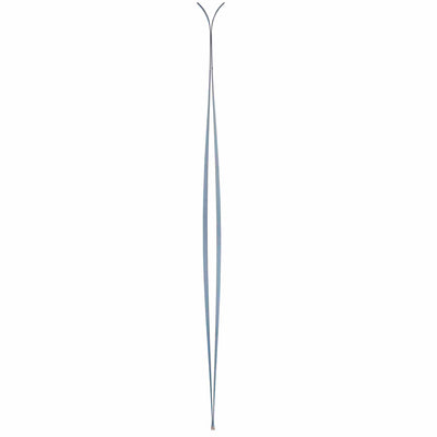 Asnes Borge Ousland BC Skis
