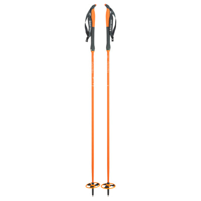 Asnes Cecile Ski Pole