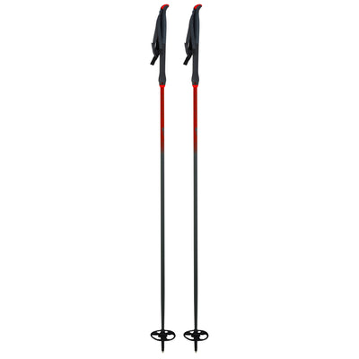 Asnes Ingstad Ski Poles